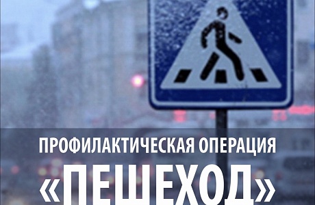 Профилактическое мероприятие «Пешеход»