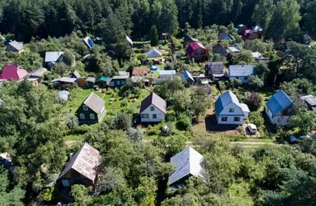 В Кадастровой палате подвели итоги дачной горячей линии 