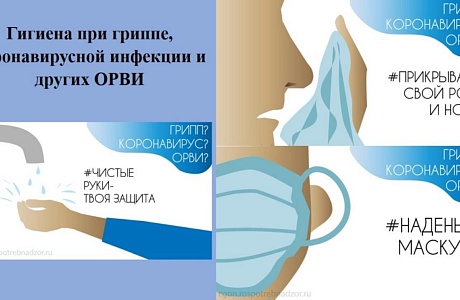 Гигиена при гриппе, коронавирусной инфекции и других ОРВИ