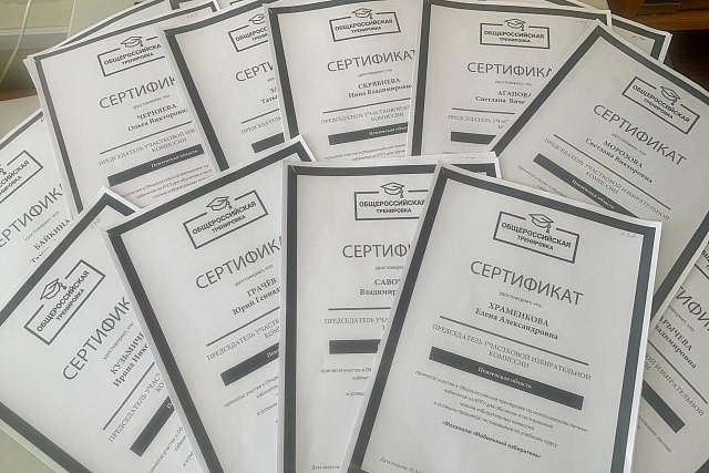 Руководящий состав участковых избирательных комиссий Малосердобинского района приняли участие в Общероссийской тренировке