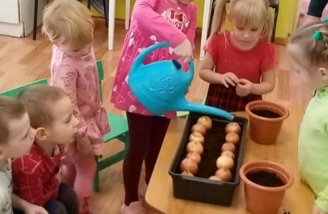 «Огород на подоконнике» 