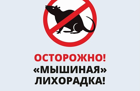 Природная опасность: «мышиная лихорадка», или ГЛПС!
