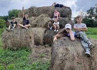 «В природе столько красоты!».
