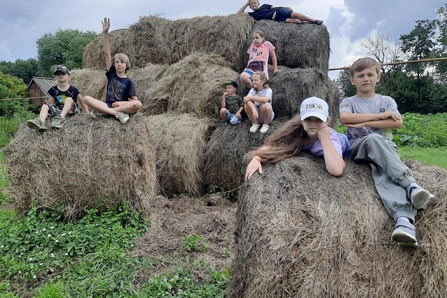 «В природе столько красоты!». «В природе столько красоты!».