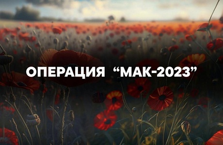 На территории Пензенской области с 19 по 28 июня 2023 года проводится первый этап межведомственной оперативно-профилактической операции «Мак-2023» На территории Пензенской области с 19 по 28 июня 2023 года проводится первый этап межведомственной оперативно-профилактической операции «Мак-2023»