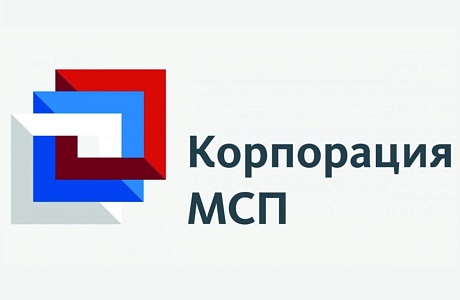О «зонтичном» механизме поручительств Корпорации «МСП»