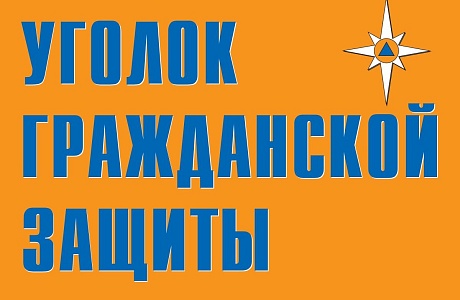 Прошел смотр-конкурс «Лучший уголок гражданской обороны». Прошел смотр-конкурс «Лучший уголок гражданской обороны».