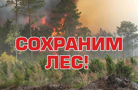 Сохраним лес.
