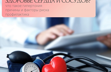 Профилактика артериальной гипертонии: как сохранить  здоровье сердца и сосудов