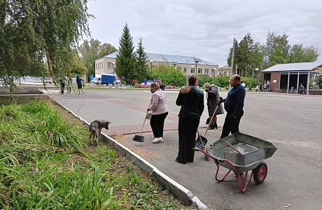 В Малосердобинском районе проведены работы по благоустройству закрепленных  территорий