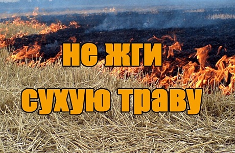 Мы обращаемся ко всем гражданам: не жгите сухую траву! Мы обращаемся ко всем гражданам: не жгите сухую траву!