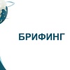 Брифинг по мерам поддержки субъектов малого и среднего предпринимательства Брифинг по мерам поддержки субъектов малого и среднего предпринимательства