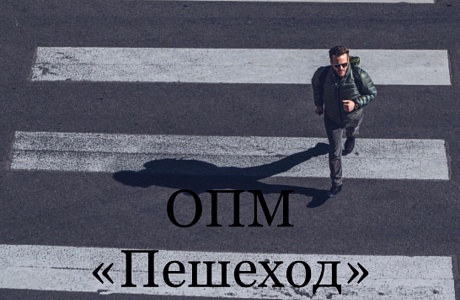 Оперативно профилактическое мероприятие «Пешеход» 19.02.2021г.